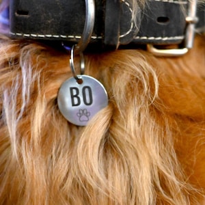 Dog Tag | Personalized Dog Tags for Dogs | Custom Dog Tag | Dog Name Tag | Pet Tag | Pet ID Tag | Dog ID Tag | Custom Engraved Pet Tag
