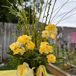 Yellow Roses Tea Cup Arrangement!
