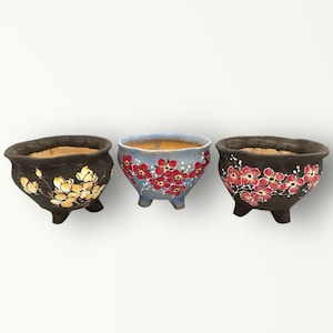 A set three pots, Handmade hand painted flower accent ceramic planter, great for succulents, cactus, bonsai and caudex, indoor and outdoor.