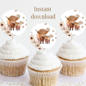 Pink Cow Baby Shower Cupcake Toppers, Highland Cow Baby Shower, Highland Cow Baby Shower Invitation Girl, Wildflower Baby Shower, HC4