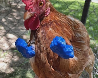 3D Printed Chicken Arms (Specialty Colors)
