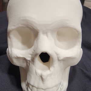 3D Printed Skull - Halloween (Standard Colors)