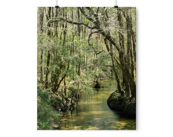Premium Matte Vertical Posters