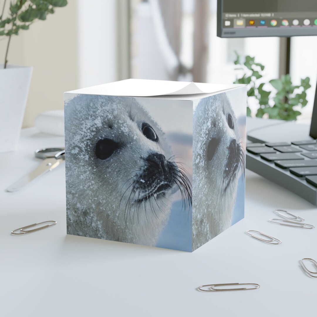 Harp Seal note Cube 700 Sticky Sheets Etsy