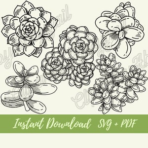 Succulent Svg Bundle | Succulent svg | Plant Clipart | Botanical svg | Plant Clipart | Succulent Set svg | Downloads | Cut File | Hand drawn