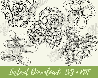Succulent Svg Bundle | Succulent svg | Plant Clipart | Botanical svg | Plant Clipart | Succulent Set svg | Downloads | Cut File | Hand drawn