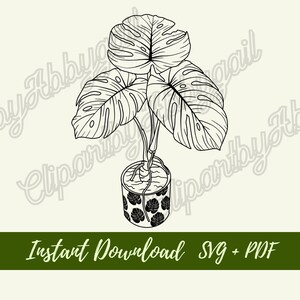Monstera Plant svg | Plant svg | House Plant Clipart | Botanical svg | Plant Clipart | House Plant svg | Downloads | Cut File | Hand drawn
