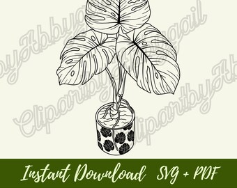 Monstera Plant svg | Plant svg | House Plant Clipart | Botanical svg | Plant Clipart | House Plant svg | Downloads | Cut File | Hand drawn