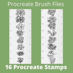 16 Procreate Succulent Brushes | Procreate Sketch Brush | Plant Stamp ...