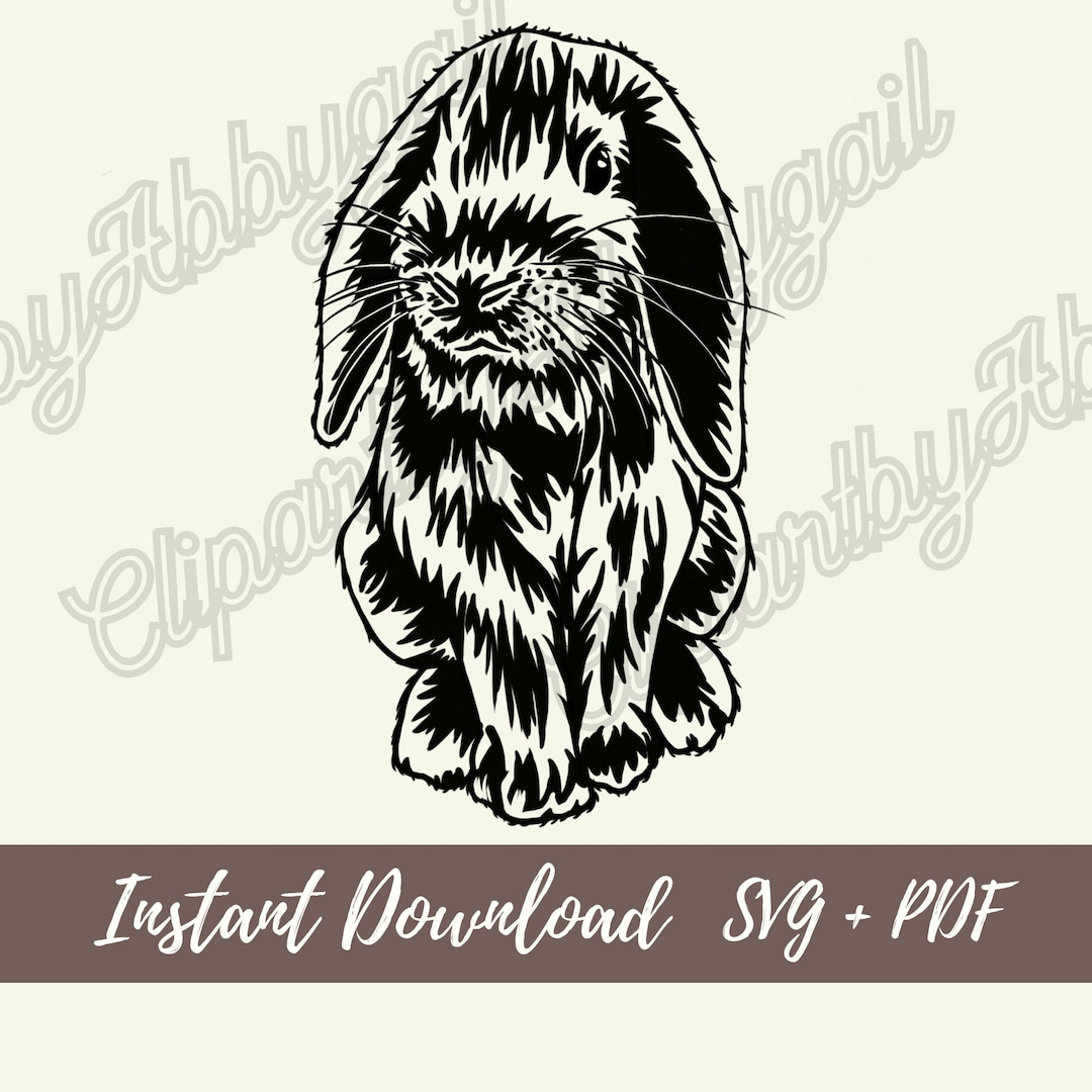 Holland Lop Bunny Svg | Bunny Svg | Hare Clipart | Easter Svg | Spring ...