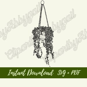 Perlenkette Pflanze svg | Pflanze svg | Pflanzen Clipart | Botanischer svg | Pflanzen Clipart | Zimmerpflanze svg | Downloads | Geschnittene Datei | Handgezeichnet