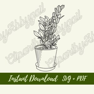 ZZ Pflanze svg | Pflanze svg |Haus Pflanze Clipart | Botanischer svg | Pflanzen Clipart | Zimmerpflanze svg | svg Downloads | Geschnittene Datei | Handgezeichnet