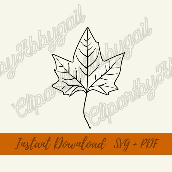 Maple Leaf Svg Fall Svg Thanksgiving Svg Autumn Leaves - Etsy