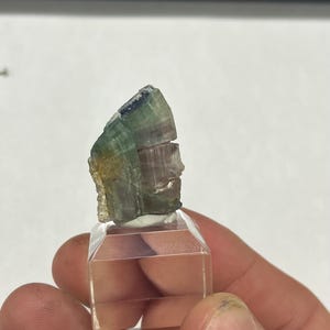 ME, USA, Tricolor Tourmaline, Mt. Mica, Maine, United States