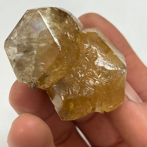 EN, EE. UU., Calcita romboédrica dorada, Cantera de materiales de bayas, North Vernon, Condado de Jennings, Indiana, EE. UU.