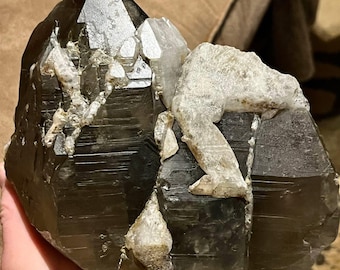 NH, USA, Smoky Quartz, Table Mountain, Bartlett, New Hampshire 8”