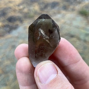NV, USA, Smoky Quartz, Royal Scepter Mine, Peterson Mountain, Hallelujah Junction, Nevada, United States