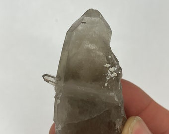 NH, USA, Smoky Quartz, “Peter’s Pocket” aka “Pine Knoll Pocket”,  Moat Mountain, Bartlett, New Hampshire
