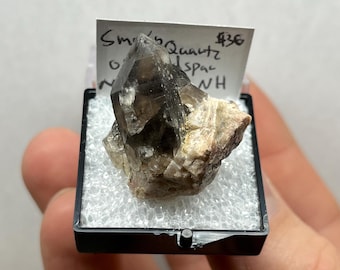 May include: Smoky Quartz crystal specimen in a black display case. The crystal is a dark, translucent brown with a pointed tip. The base is a mix of beige and tan rock. A small white tag with handwritten text is visible.