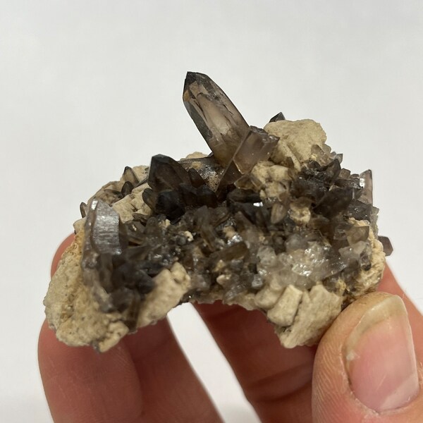 NM, USA, Smoky Quartz and Microcline , “Black Glass Pocket”, Organ Mountains, New Mexico, USA 2019