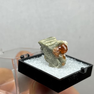 Vermont Grossular Garnets on Diopside, VAG Quarry, Lowell, Eden Mills, VT, United States
