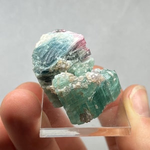 May include: A colorful tourmaline crystal cluster. The mineral displays a mix of colors, including green, blue, and pink. The crystal is held on a clear acrylic base, showcasing its natural beauty.