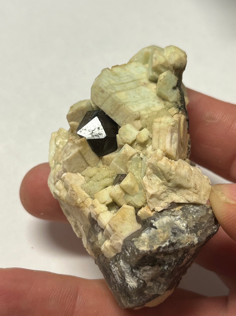 May include: A dark brown, pyramid-shaped crystal embedded in a cluster of light green and white crystals. The crystals are set in a matrix of grey rock.