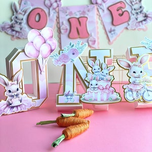 Peter Rabbit 3D Letter, Easter Birthday Party Decor - Etsy