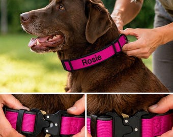 Custom Embroidered Collar with Name and Phone Number, Personalized Reflective Padded Collar with Heavy-Duty 2000N Metal Quick-Release Buckle