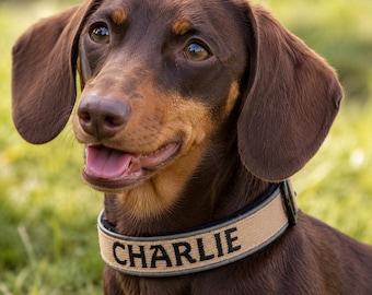 Personalized Puppy Collar with Name, Custom Small Dog Collar, Embroidered Reflective Padded Pet Collar