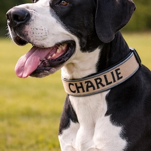 May include: A tan dog collar with black trim and the name CHARLIE embroidered in black capital letters. The collar is worn around the neck of a black and white dog with a short coat, brown eyes, and an open mouth with a visible pink tongue.