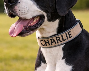 Personalized Dog Collar, Cobra Buckle, Padded Neoprene, Reflective Trim, Adventure Ready