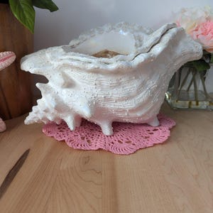 Puede incluir: Un gran macetero de concha blanca con una superficie texturizada. El macetero está sobre un encaje de ganchillo rosa.