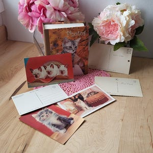 Stary album ze zdjęciami kotów z 33 nowymi kartami pocztowymi ze zdjęciami kotów w środku. Kolekcja miłośników kotów. Szalona kociara.