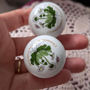 Vintage Botanischer Garten Chrysantheme Keramik Schubladenschrank Knauf 2er Set