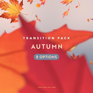 Könnte beinhalten: Herbstliches Grafikdesign mit fallenden Blättern in Rot-, Orange- und Gelbtönen. Der Text lautet "Transition Pack Autumn" mit "8 Options" in einem blauen Rechteck. Das Looping Vids-Logo befindet sich unten.