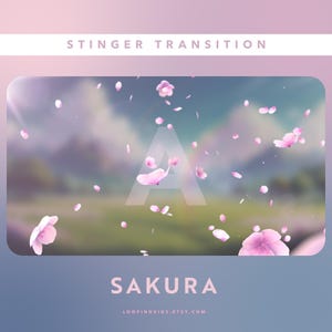May include: A digital graphic with a blurred background of a landscape with pink and white cherry blossom petals floating in the air. The text "STINGER TRANSITION" is at the top, and "SAKURA" is at the bottom.