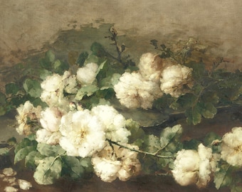 White Roses Vintage 19th Century Art | Digital Download |
