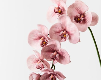 Tallo de orquídea artificial falso de tacto real Phalaenopsis rosa polvoriento 92 cm de alto Flores de alta calidad en tallo con alambre Detalle de pétalo realista Alambre