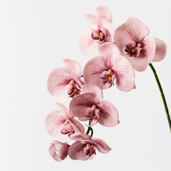 Fausse tige d'orchidée Phalaenopsis artificielle, fausse vraie touche, rose poudré, 92 cm de haut, fleurs de haute qualité sur tige métallique avec pétales réalistes