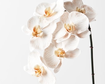 Künstlicher künstlicher künstlicher Orchideenstiel mit echter Haptik, Phalaenopsis-Taube, 86 cm hoch, hochwertige Blumen auf verdrahtetem Stiel, realistische Blütenblattdetails
