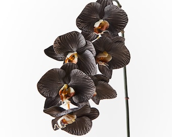 Tallo de orquídea artificial falso de tacto real Phalaenopsis blanco y negro 86 cm de alto Flores de alta calidad en tallo con cable Detalle de pétalo realista