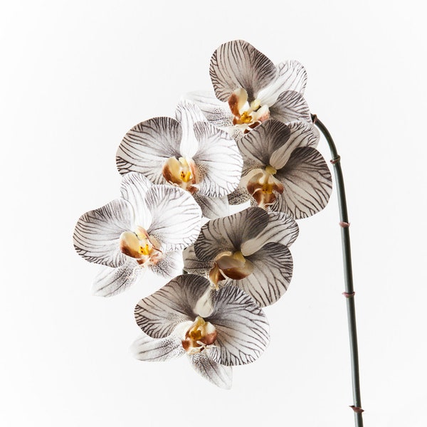 Kunstmatige nep-imitatie Real Touch orchideestam Phalaenopsis wit en zwart 86 cm hoge bloemen van hoge kwaliteit op bedrade stengel Realistisch bloemblaadjedetail