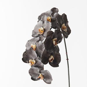 Sztuczna orchidea Phalaenopsis 96 cm w kolorze ciemnoszarym, Real Touch Black Fałszywy motylkowy kwiat łodyga do dekoracji domu, kapelusza i ozdoby na tort