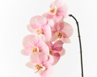 Fake Real Touch Beige Orchid Stem - 86cm Artificial Pale Pink Phalaenopsis Flower, Home Decor & DIY Wedding Bridal Bouquet Hat / Cake Topper
