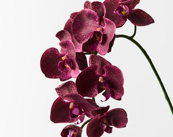 Artificial Phalaenopsis Orchid 96cm in Burgandy, Real Touch Pink Fake Butterfly Flower Stem for Home Decor Arrangement, Hat & Cake Topper