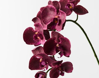 Artificial Fake Faux Real Touch Orchid Stem Phalaenopsis Burgandy 92cm Tall High Quality Flowers on Wired Stem Realistic Petal Detail