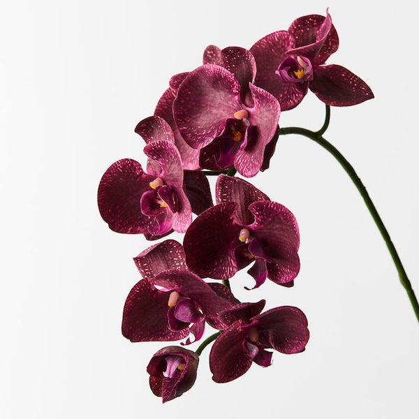 Kunstmatige nep-imitatie Real Touch orchideestam Phalaenopsis bordeauxrood 92 cm hoge bloemen van hoge kwaliteit op bedrade stengel Realistisch bloemblaadjedetail