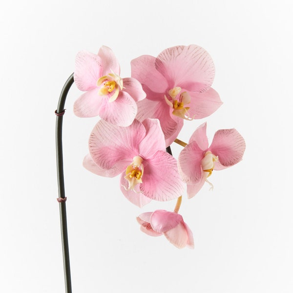 Artificial Fake Faux Real Touch Orchid Stem Phalaenopsis Pale Pink 51cm Tall High Quality Flowers on Wired Stem Realistic Petal Detail