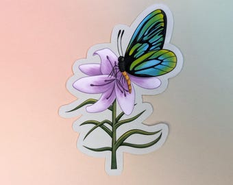 Queen Alexandra Birdwing - Sticker